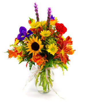 <b>Notice</b>: Undefined index: name in <b>/home/stranges/public_html/shop/vqmod/vqcache/vq2-catalog_view_theme_default_template_product_search.tpl</b> on line <b>386</b>